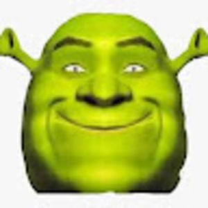 Meet your Posher, Ayla